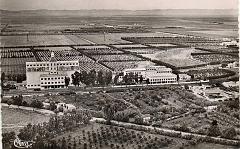 Relizane 037